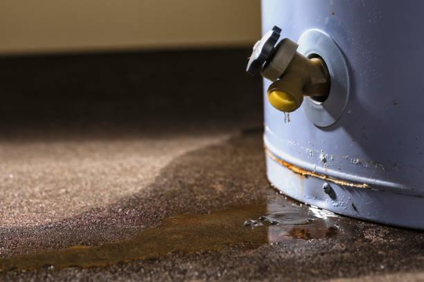 Best Professional water damage repair  in Rio Verde, AZ