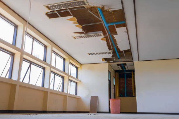 Best Carpet water damage restoration  in Rio Verde, AZ