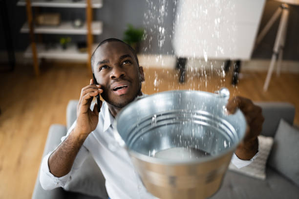 Best Carpet water damage restoration  in Rio Verde, AZ