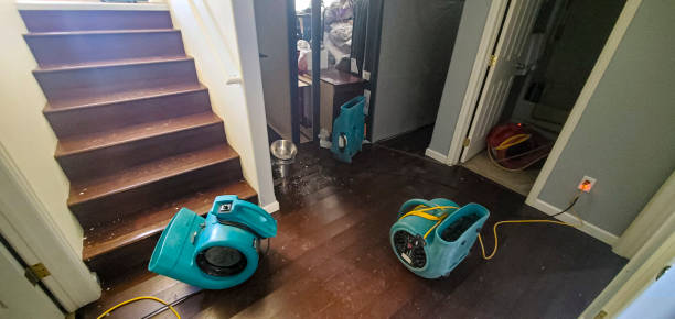 Best Basement water damage restoration  in Rio Verde, AZ