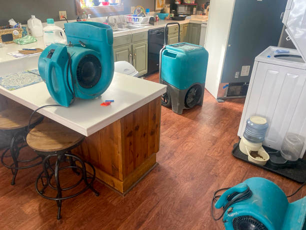 Best Fire Damage Restoration  in Rio Verde, AZ