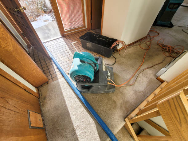 Best Local water damage restoration  in Rio Verde, AZ