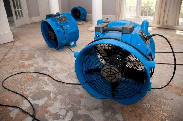 Best Emergency water damage restoration  in Rio Verde, AZ