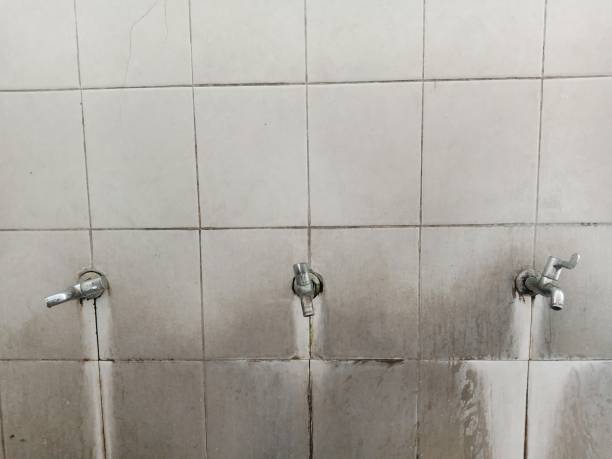Best Water damage contractors near me  in Rio Verde, AZ