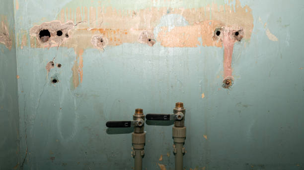 Best Professional water damage repair  in Rio Verde, AZ