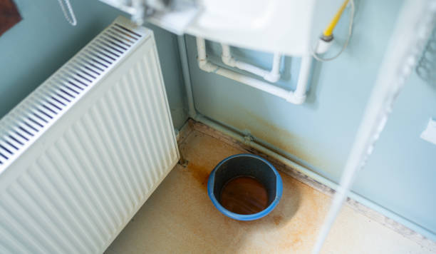 Best Water damage contractors near me  in Rio Verde, AZ