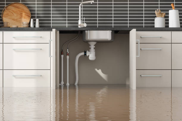 Best Mold removal after water damage  in Rio Verde, AZ
